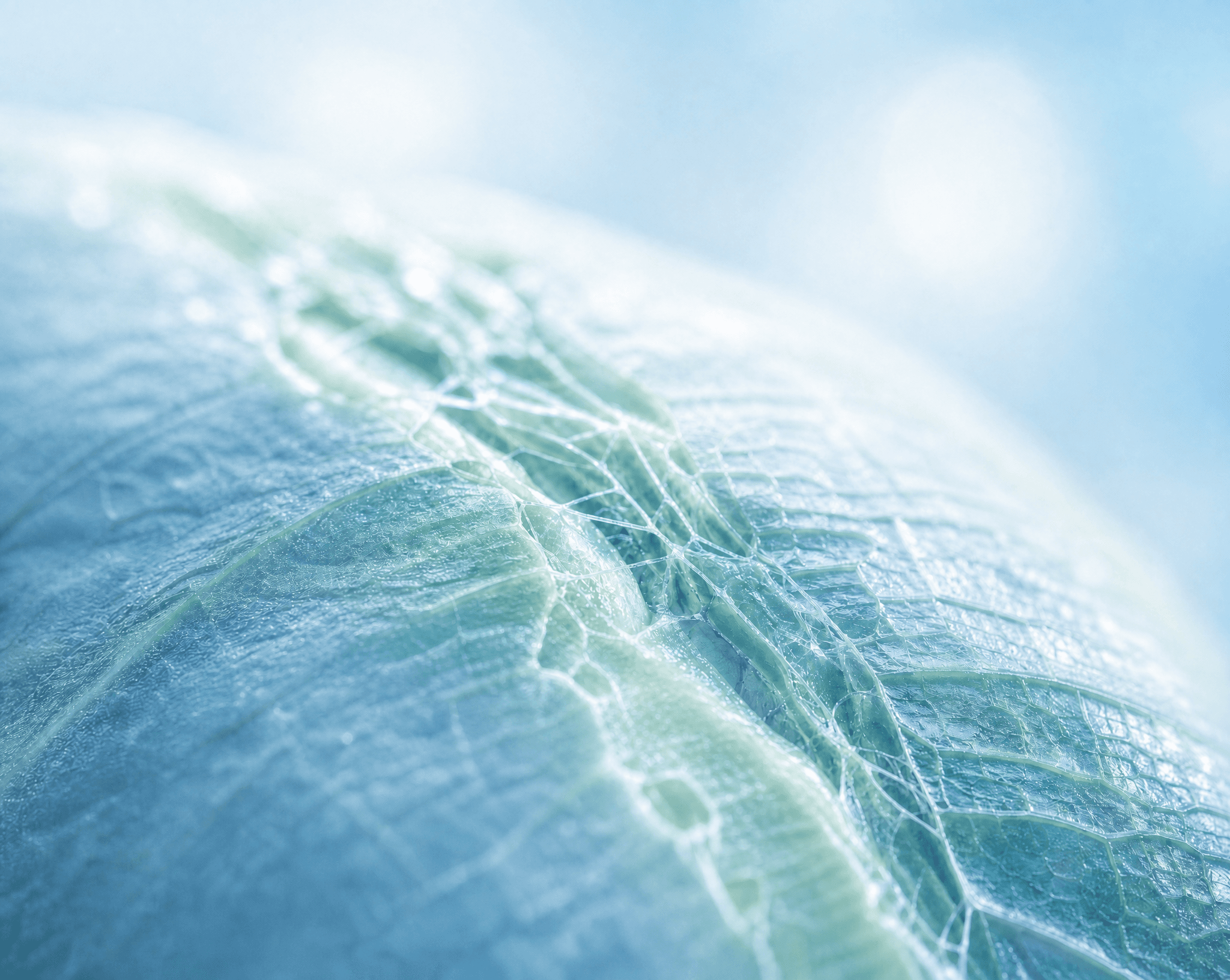Tissue Repair